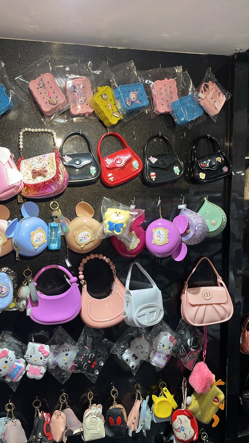Fancy bags in store